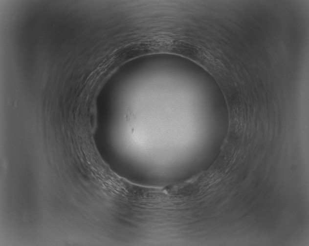 X0000053001057200507081227
