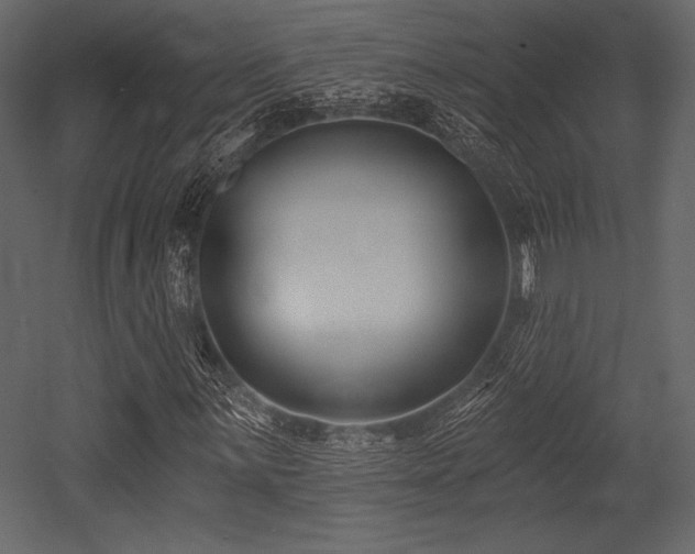 X0000053001059200507081227