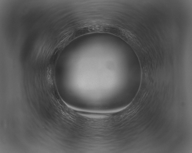 X0000053001060200507081227
