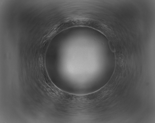 X0000053001061200507081227