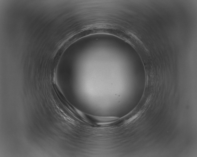 X0000053001065200507081227