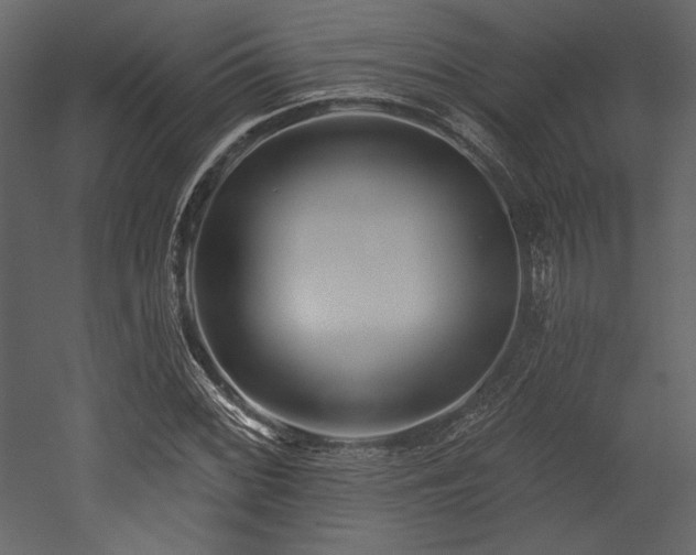 X0000053001068200507081227