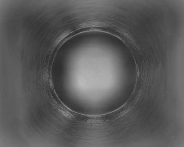 X0000053001073200507081227