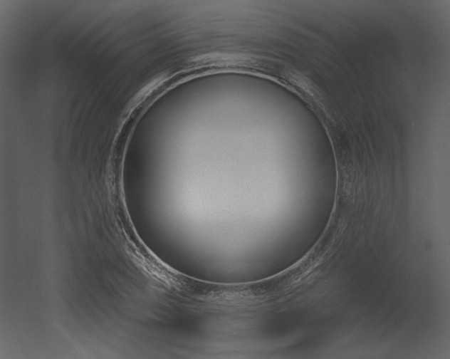 X0000053001074200507081227