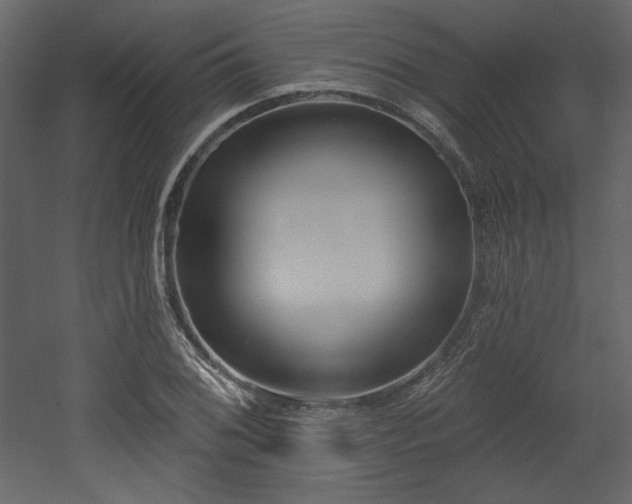 X0000053001076200507081227