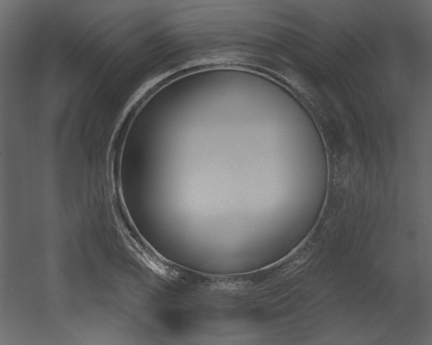 X0000053001078200507081227