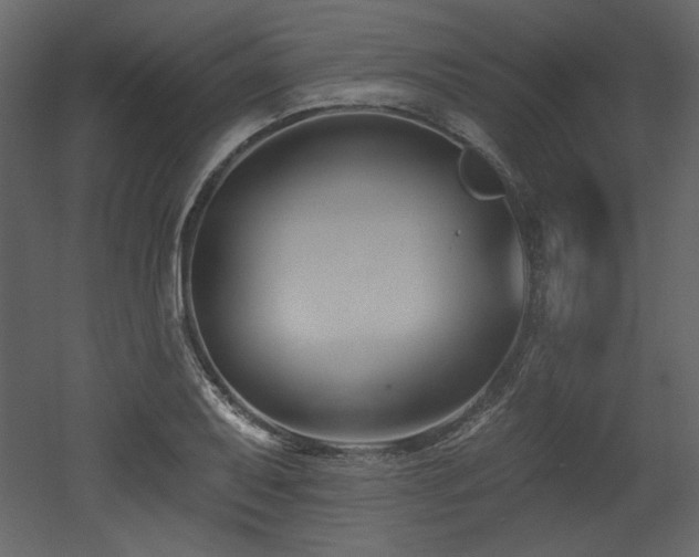 X0000053001079200507081227