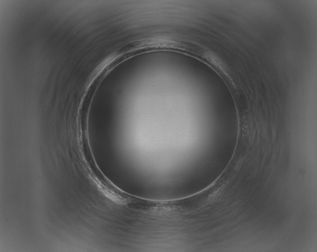 X0000053001082200507081227