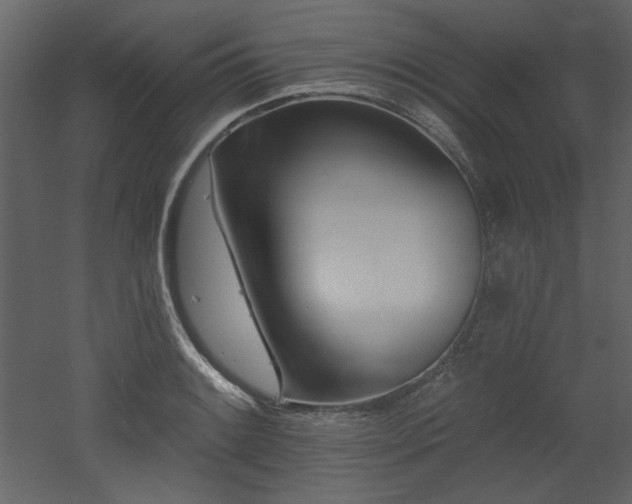 X0000053001084200507081227