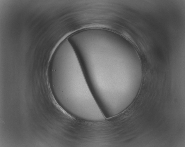 X0000053001092200507081227