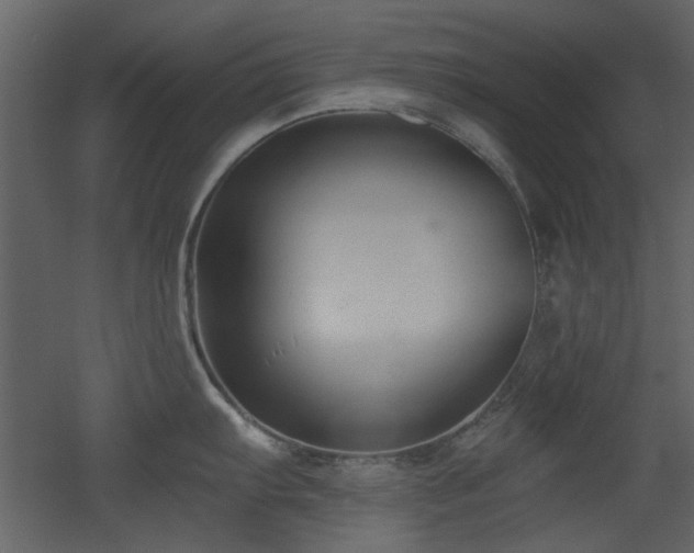 X0000053001103200507081227