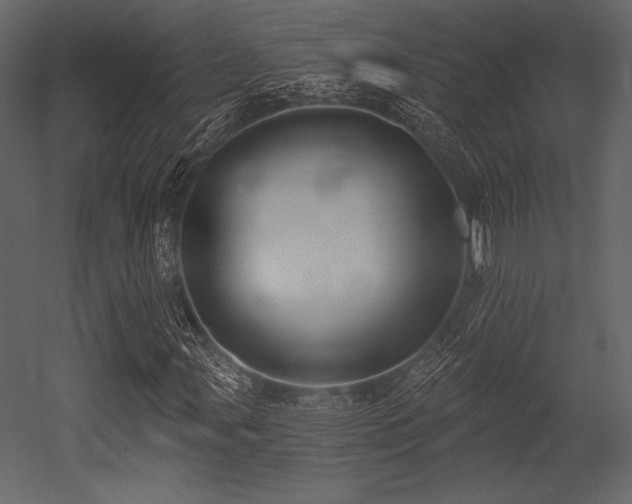 X0000053001107200507081226
