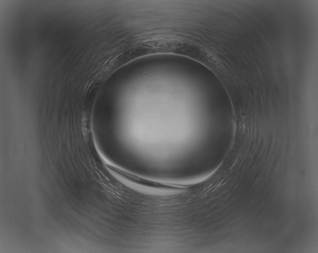 X0000053001108200507081226
