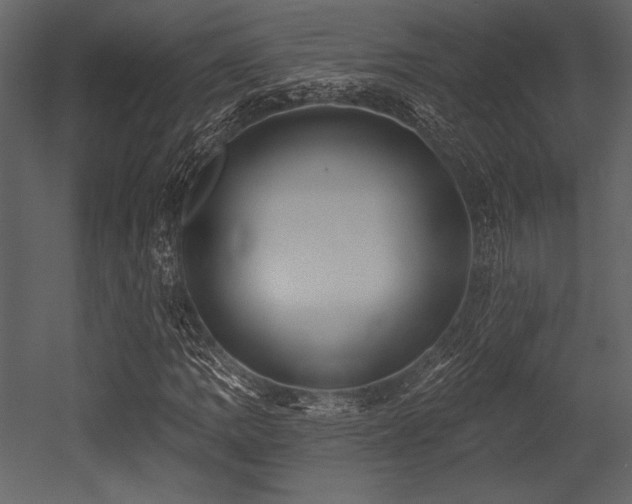 X0000053001109200507081226