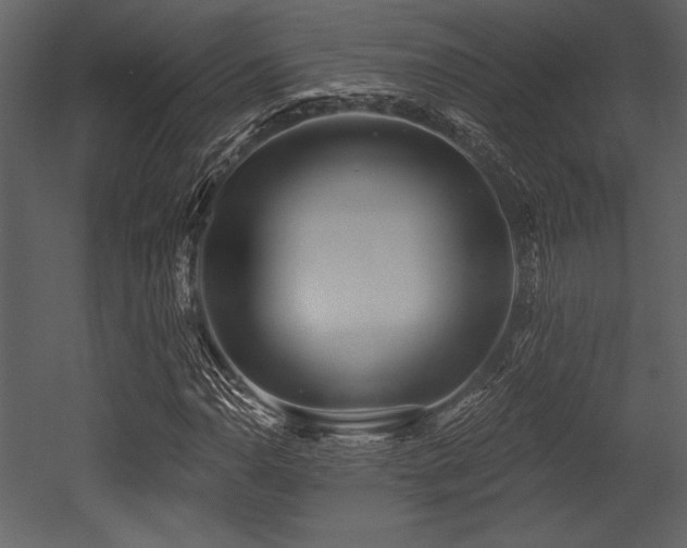 X0000053001110200507081226