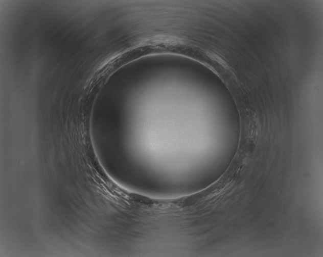 X0000053001112200507081226