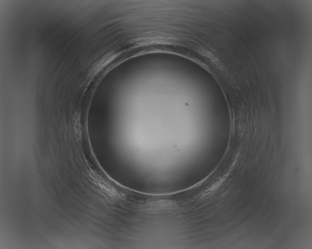 X0000053001113200507081226