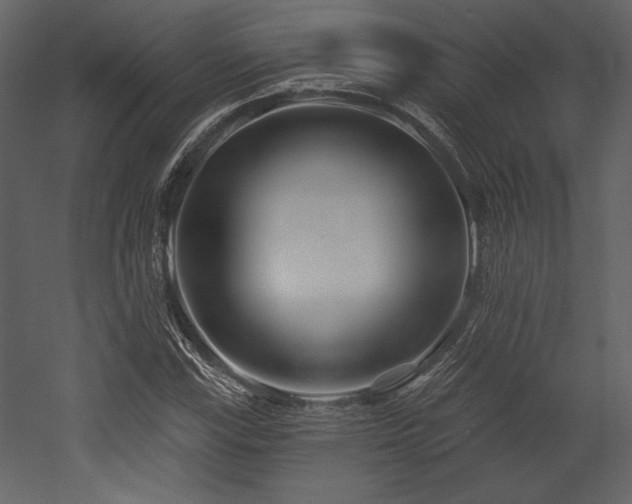 X0000053001115200507081226