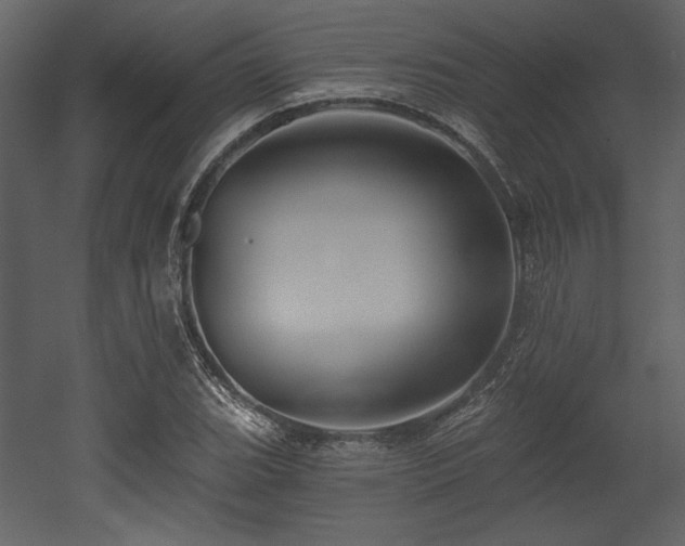 X0000053001119200507081226