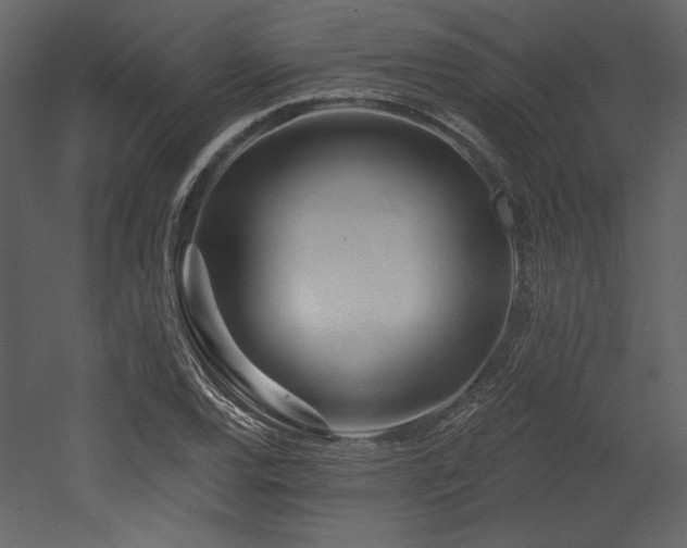 X0000053001120200507081226