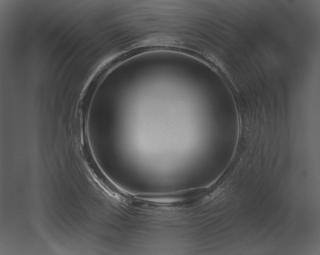 X0000053001123200507081226