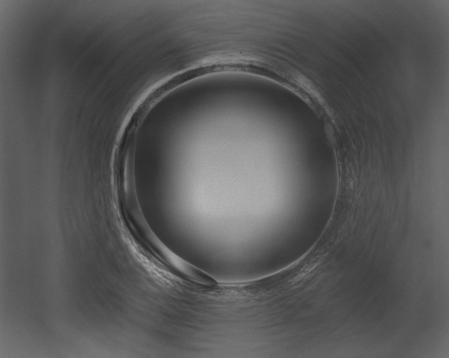 X0000053001124200507081226