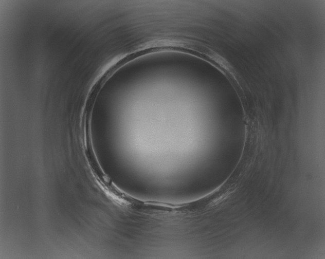 X0000053001127200507081226