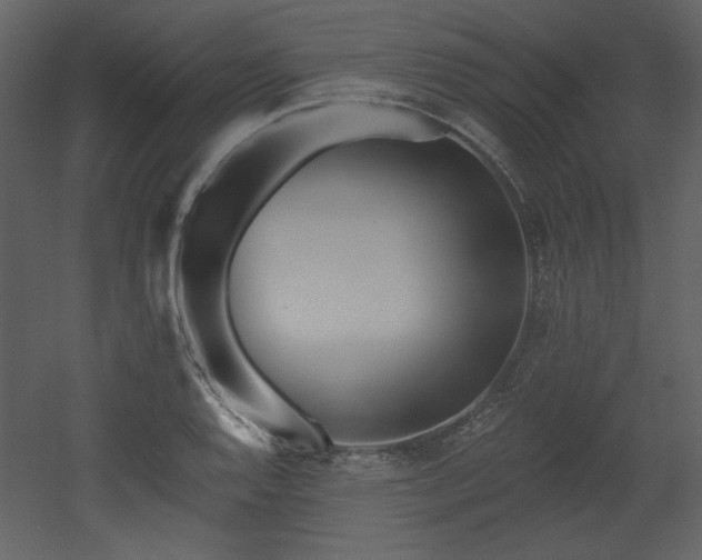 X0000053001128200507081226