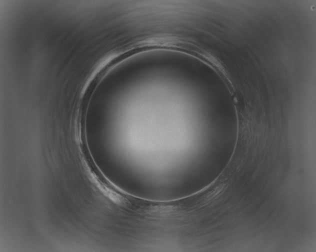 X0000053001131200507081226