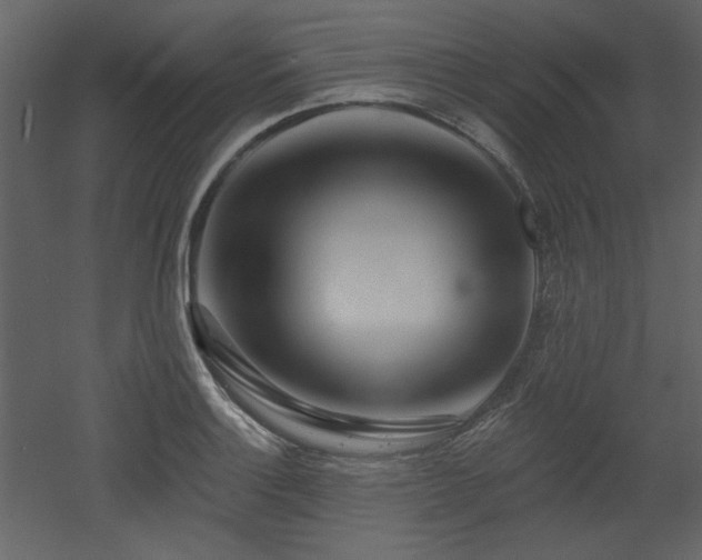 X0000053001132200507081226