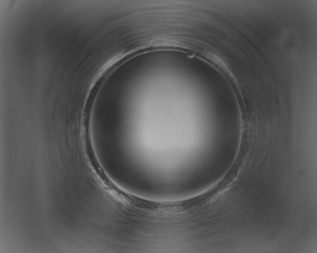 X0000053001133200507081226