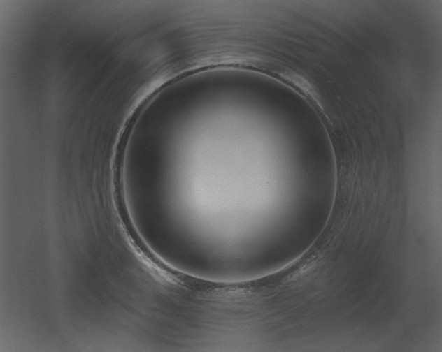 X0000053001135200507081226