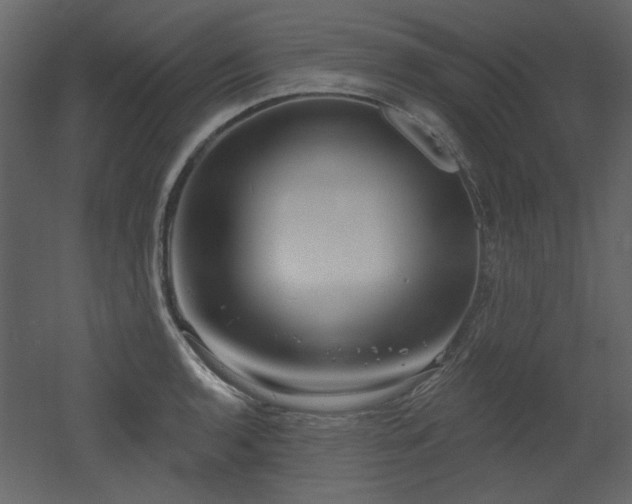 X0000053001136200507081226