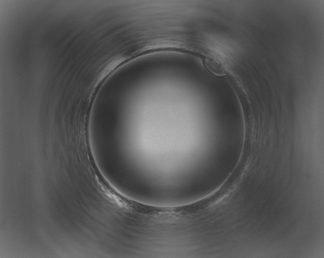 X0000053001137200507081226