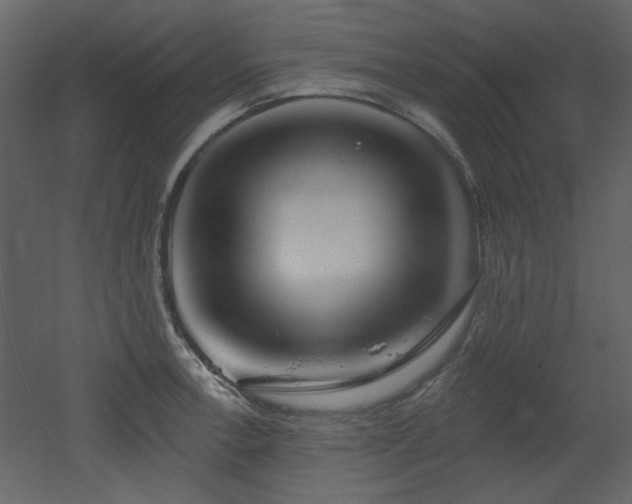 X0000053001138200507081226