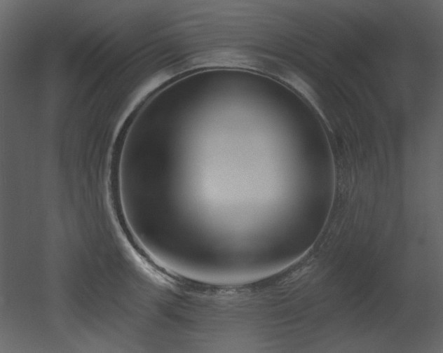 X0000053001139200507081226