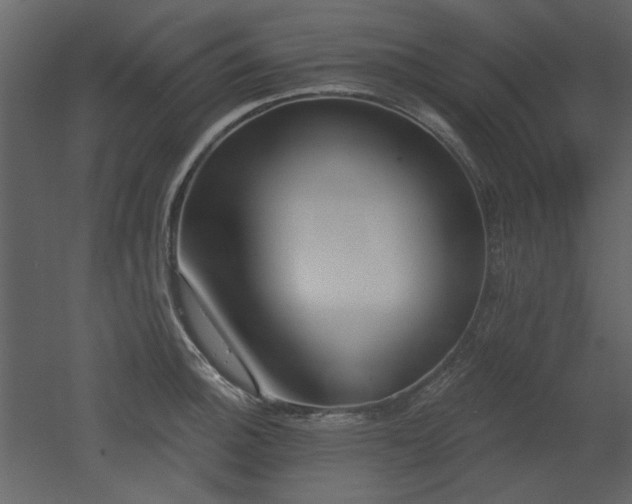 X0000053001140200507081226