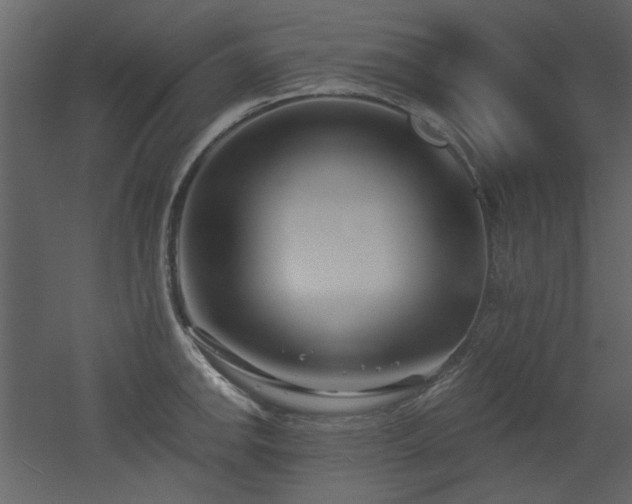 X0000053001142200507081226