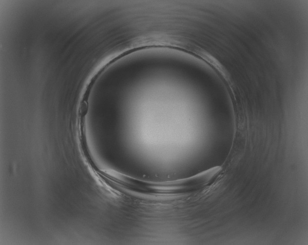 X0000053001144200507081226