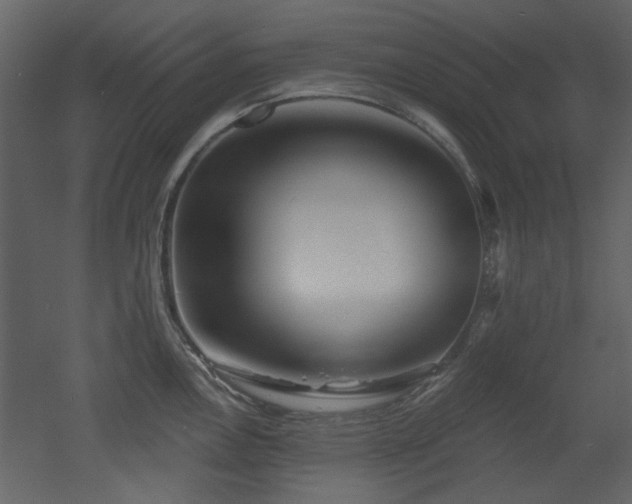 X0000053001146200507081226