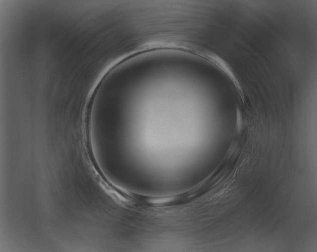 X0000053001148200507081227