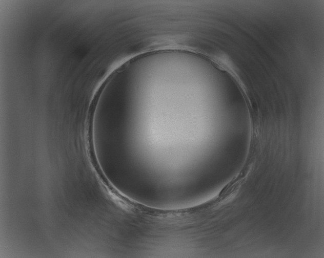 X0000053001149200507081227
