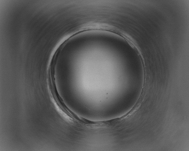 X0000053001152200507081227