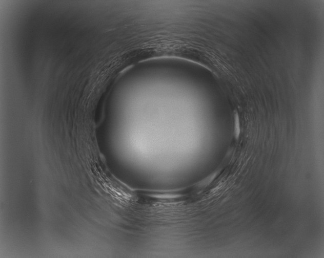 X0000053001153200507081226