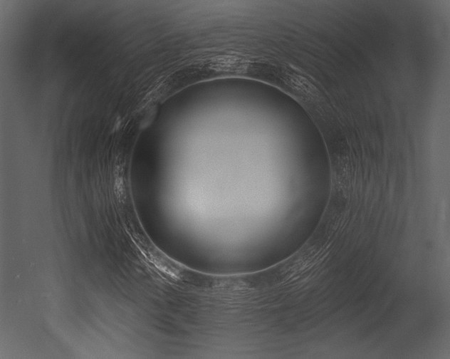 X0000053001154200507081226