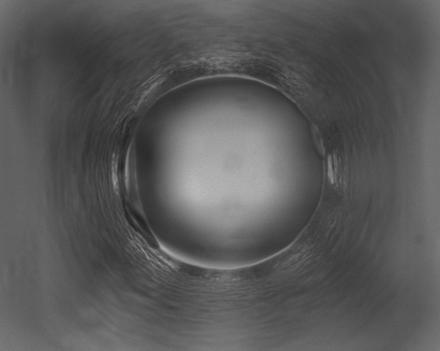 X0000053001155200507081226