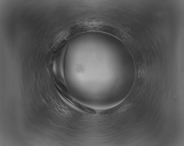 X0000053001156200507081226