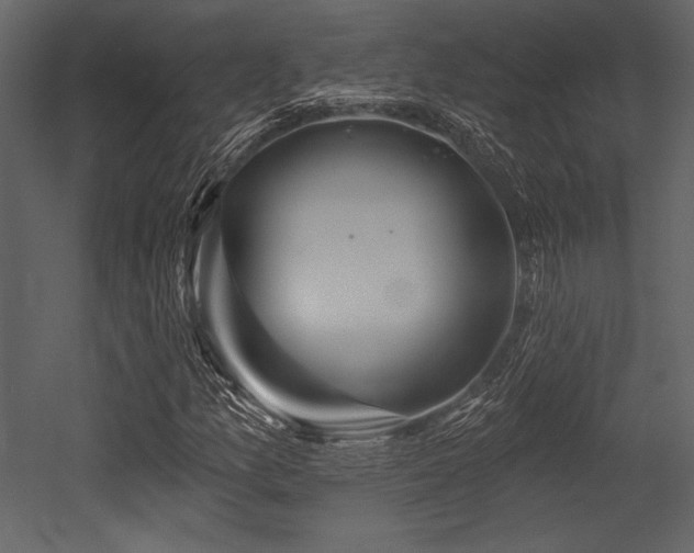 X0000053001157200507081226