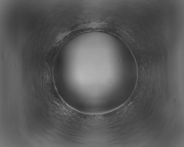 X0000053001158200507081226