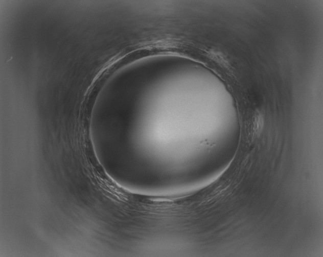 X0000053001160200507081226